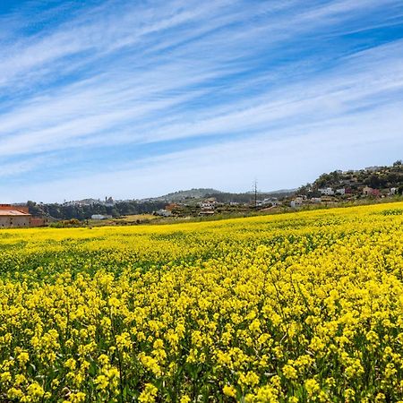 Dejablue. Villa Rural Junto Al Mar Y La Montana Santa Maria de Guia de Gran Canaria Экстерьер фото